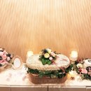 씨엘로펫 이미지