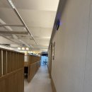 남도에너지 | 분당 야탑 남도음식 맛집 덕자코스요리 회부터 한우뻘낙지까지 한상 더남도