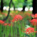 함양교통정류장 이미지