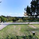 상황오토캠핑장 이미지