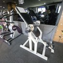 신월동 PT 라이프헬스장 이미지