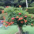 양평펜션벨뷰 이미지