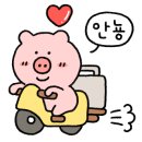 스테이하몽 이미지