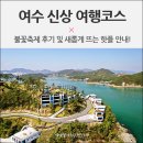 여수 불꽃축제 후기 &amp; 예술랜드 유월드 루지, 장도까지 신상 여행코스(+먹방)