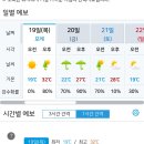 목동천길 Daum카페