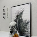 소랑애월 이미지