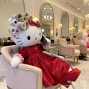 무드무드 | W 13. 웨딩 스튜디오 촬영 헤어변형_다영무드 촬영후기_IVE(아이브) 스튜디오