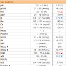 정평동물병원