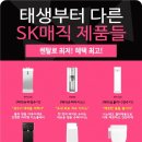진진식 이미지