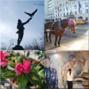 뉴파크노래방 | 🐴2026 다그닥다그닥｜한겨울의 뉴욕 센트럴파크 추억팔이와 유화 시작, 영산홍 꽃말, 마음을 데우는 선물들