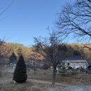 스테이 원평호 이미지