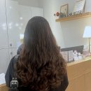 배곧애견샵 | 내 머릿결에 생기를! 배곧미용실, 이곳에서의 새로운 발견이요.