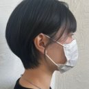 조대복사 이미지