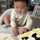 김해도서관 | [김해 육아프로그램 후기] 김해율하도서관 북스타트 1기 B반 수강 후기 아기 책 습관 시작하기 딱 좋아요!