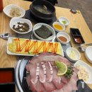 속초오징어어시장 안산고잔점 이미지