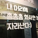 털보헤어플러스의원 이미지