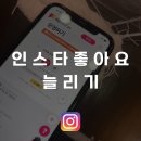 인스타PC | 인스타 좋아요 늘리기 셀프 구상 후기