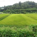 구룡리농장 이미지