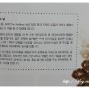 대니홍에이전시