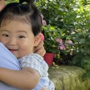 정보공간 | 청주 아기랑 실내 가볼만한 곳 베이커리카페 공간 수국축제 정보 아이와 후기