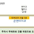 준앤미치과의원 이미지