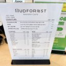 머드포레스트