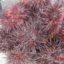 좋은밥상 좋은도우미 이미지