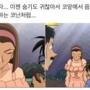 강릉 노추산 힐링캠프 이미지