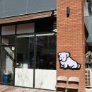 경이로운 군포 맛집 리스트