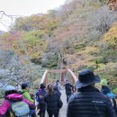 둘둘김밥앤와플칸연동점 | 제주 #4 한라산