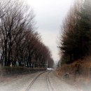 화랑대역 이미지