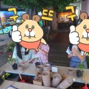 금성전파사 새로고침센터 무료체험후기