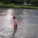 소야 솔밭 이미지