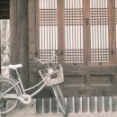 아버지와 자전거 이미지