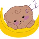 코이펫 - 김포시 담터로 71 | 코이펫