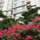 오금공인중개사사무소 이미지