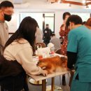 대우동물병원 이미지