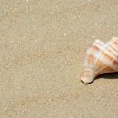 남해-124 이미지