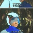 닭우리 이미지
