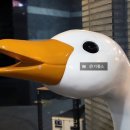 탭스 감삼점 이미지