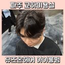 파주 교하미용실 뮤즈온헤어 남자 아이롱펌 후기