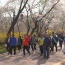 남산1천 이미지