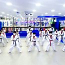 경희대강한태권도장 이미지