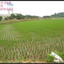 복운1리마을회관 이미지