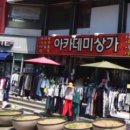 블루게리타 이미지