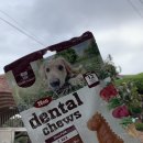 티렉스덴탈 이미지