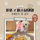 퍼스널댕댕 이미지