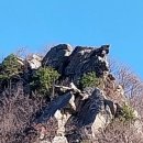 천보산 Daum카페