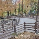 월영연못공원 이미지