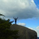 단양 마중 이미지